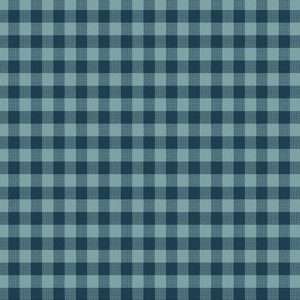 Tissu Andover – 1673 T