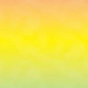 Tissu DevonStone – DV2115