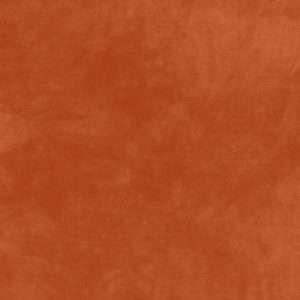 Tissu Maywood Studio – MASF9200 O2