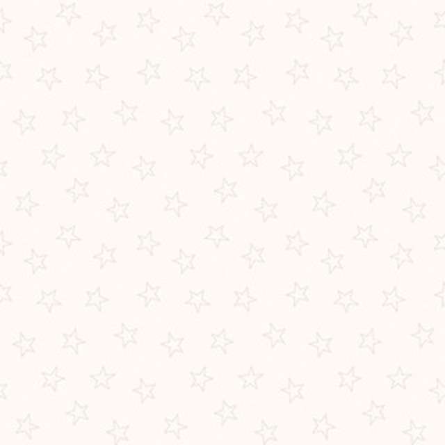 Tissu Maywood Studio MAS321 SW Lemillepatch