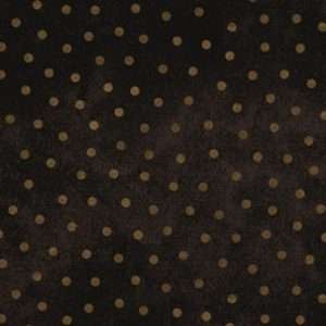 Tissu Maywood Studio – MASF18506 JA