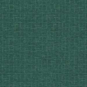 Tissu Maywood Studio – MASF18510 Q