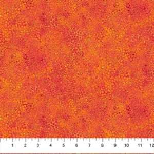 Tissu Northcott – 27897M 24