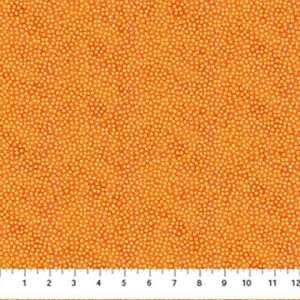 Tissu Northcott – 27898M 24