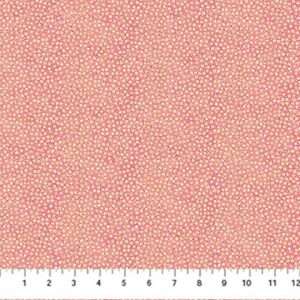 Tissu Northcott – 27898M 28