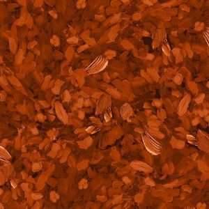 Tissu QT Fabrics – 31554 RO