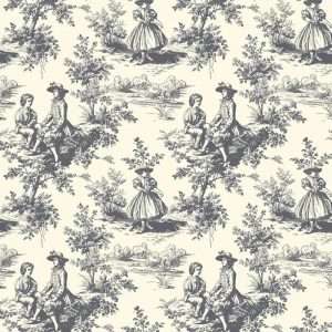 Tissu Devonstone – DV6623